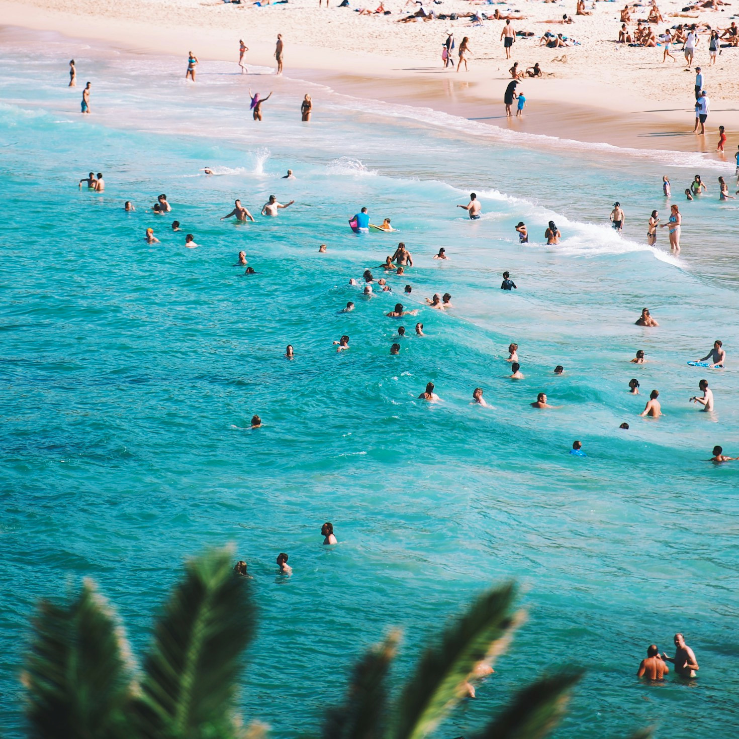 A Foodie’s Guide to Culinary Journeys Around the Globe